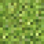 Grass.png